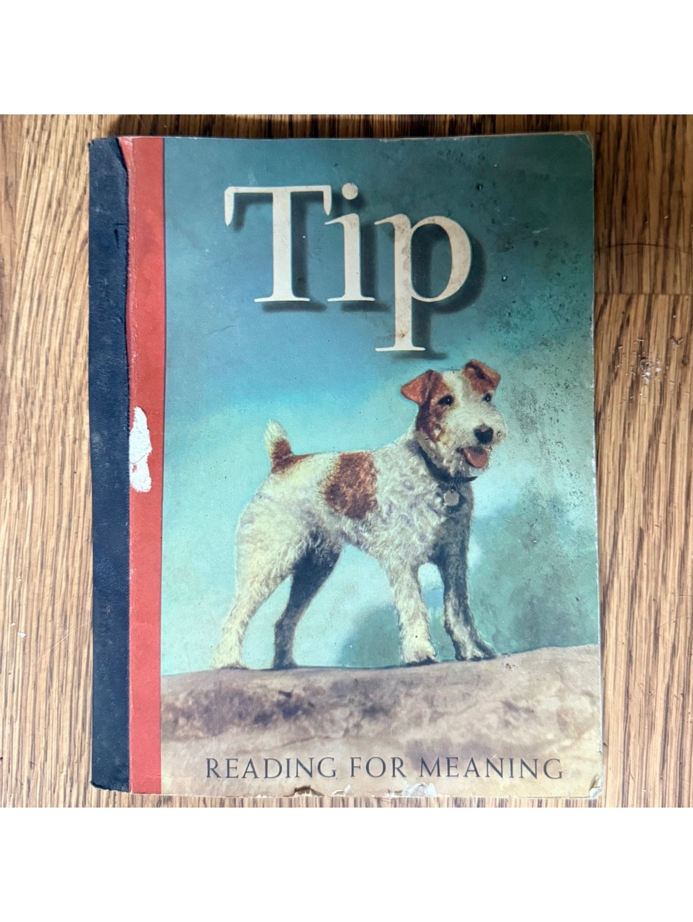 Vintage 1957 TIP Primer Book 1 Paul McKee Houghton Mifflin Reading For Meaning